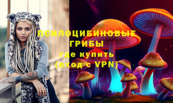 мдпв Алексин