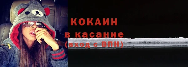 прущие грибы Абаза
