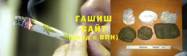прущие грибы Абаза