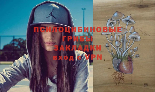 прущие грибы Абаза