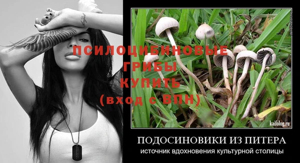 мдпв Алексин