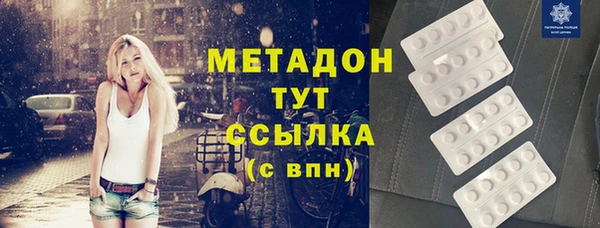 прущие грибы Абаза