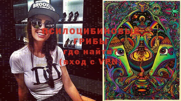 прущие грибы Абаза
