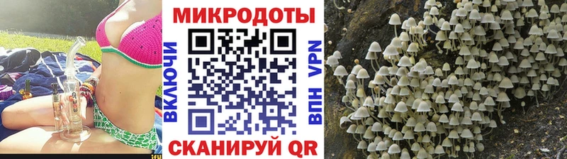 Галлюциногенные грибы Psilocybe  Почеп 